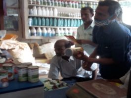 পেঁয়াজের বীজ