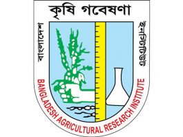 কাজুবাদাম