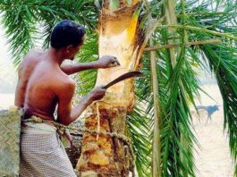 খেজুর রস