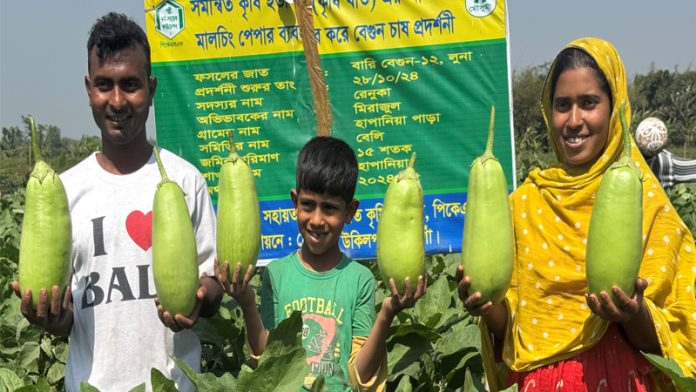 লাউ বেগুন