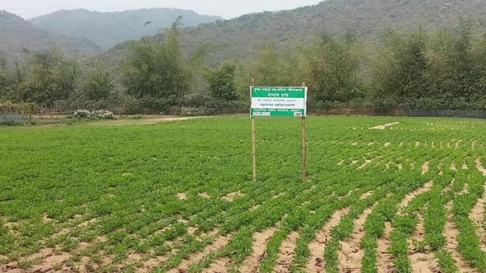 পতিত জমি