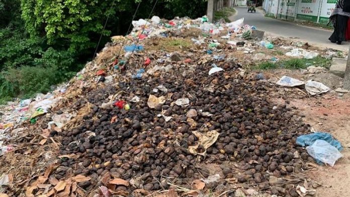 আমবাগান