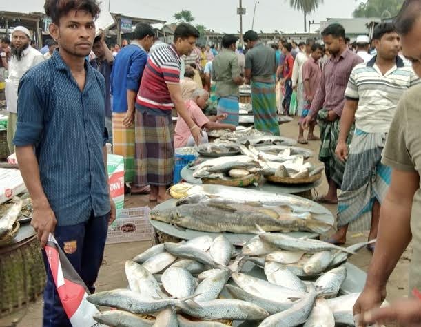 মাছবাজার