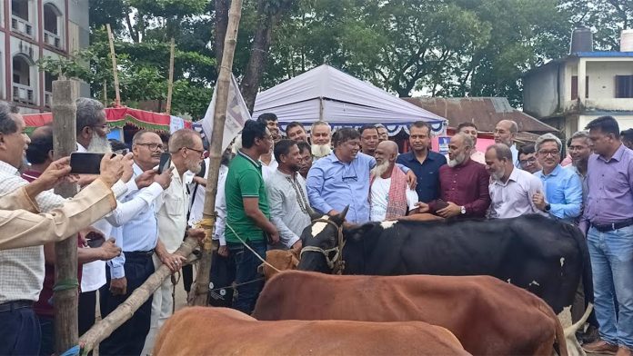 প্রাণীর চিকিৎসা