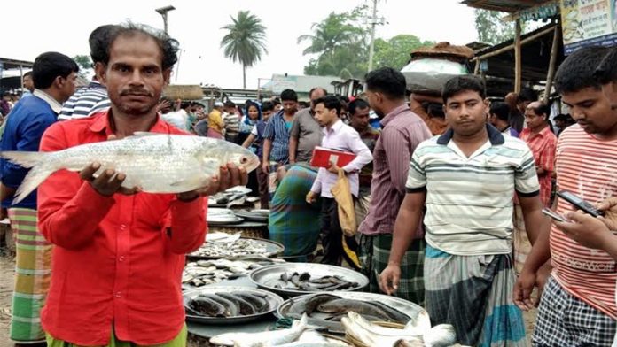 মাছবাজার