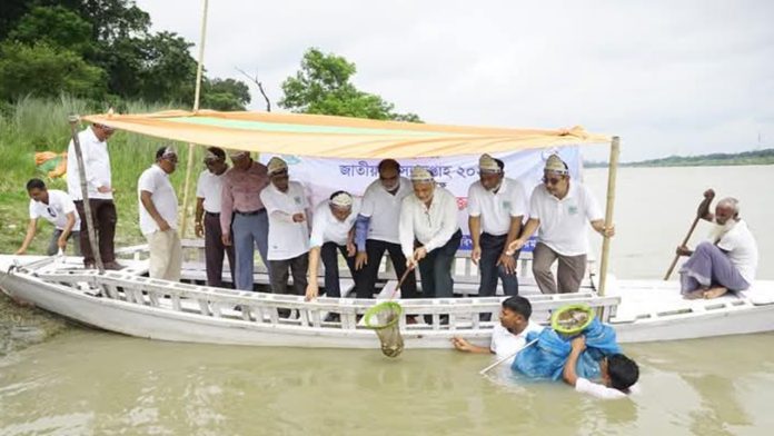 দেশি মাছ