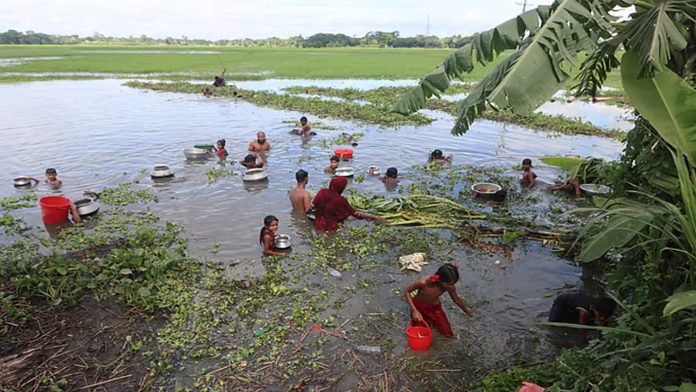 মাছবোঝাই