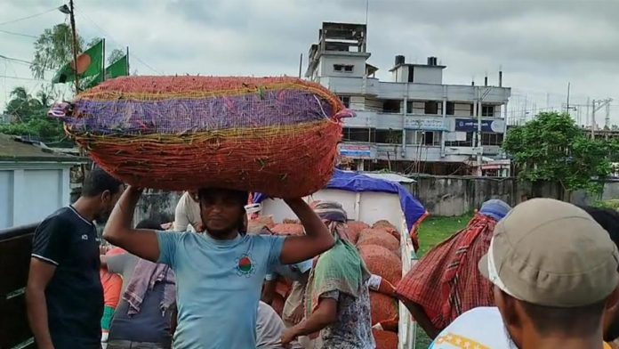 কাঁচামরিচ আমদানি