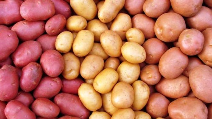 আলুর দাম