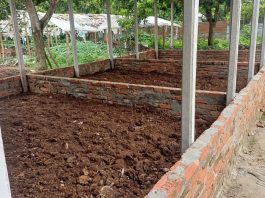 খামার থেকে আয়