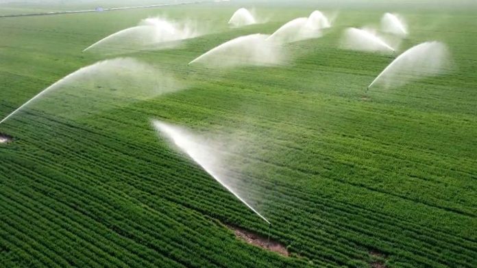 কৃষিতে এআই