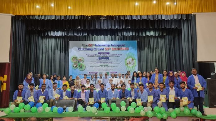 ইন্টার্নশিপ