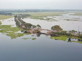 মাছ উৎপাদন