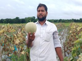 সাম্মাম চাষ