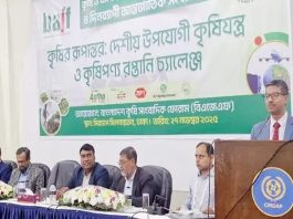 মহাপরিকল্পনা