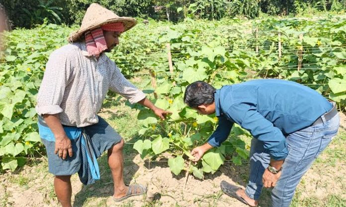 শীতকালীন সবজি