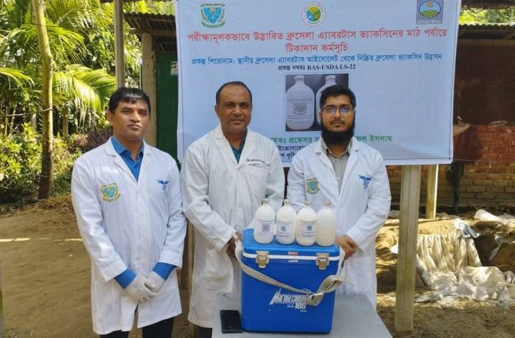 ব্রুসেলোসিস